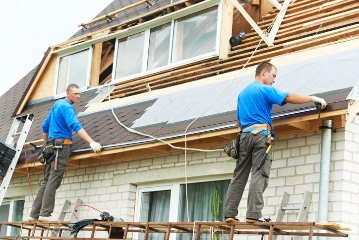 Mold Remediation Services in Brigantine — Mold Remediation